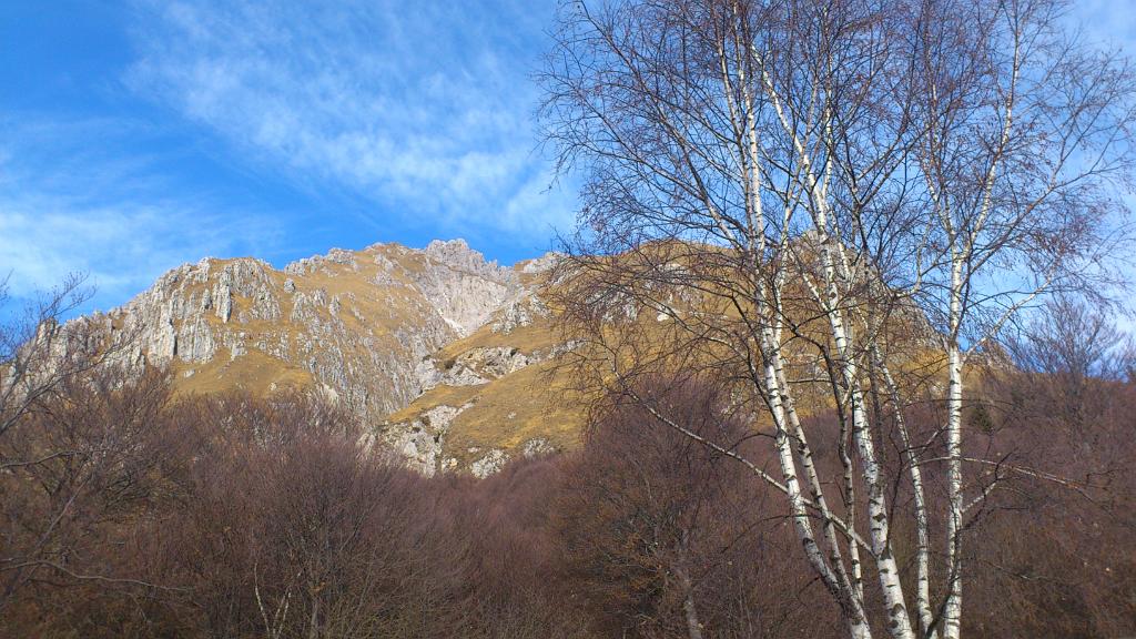 01 Grigna dal basso.jpg